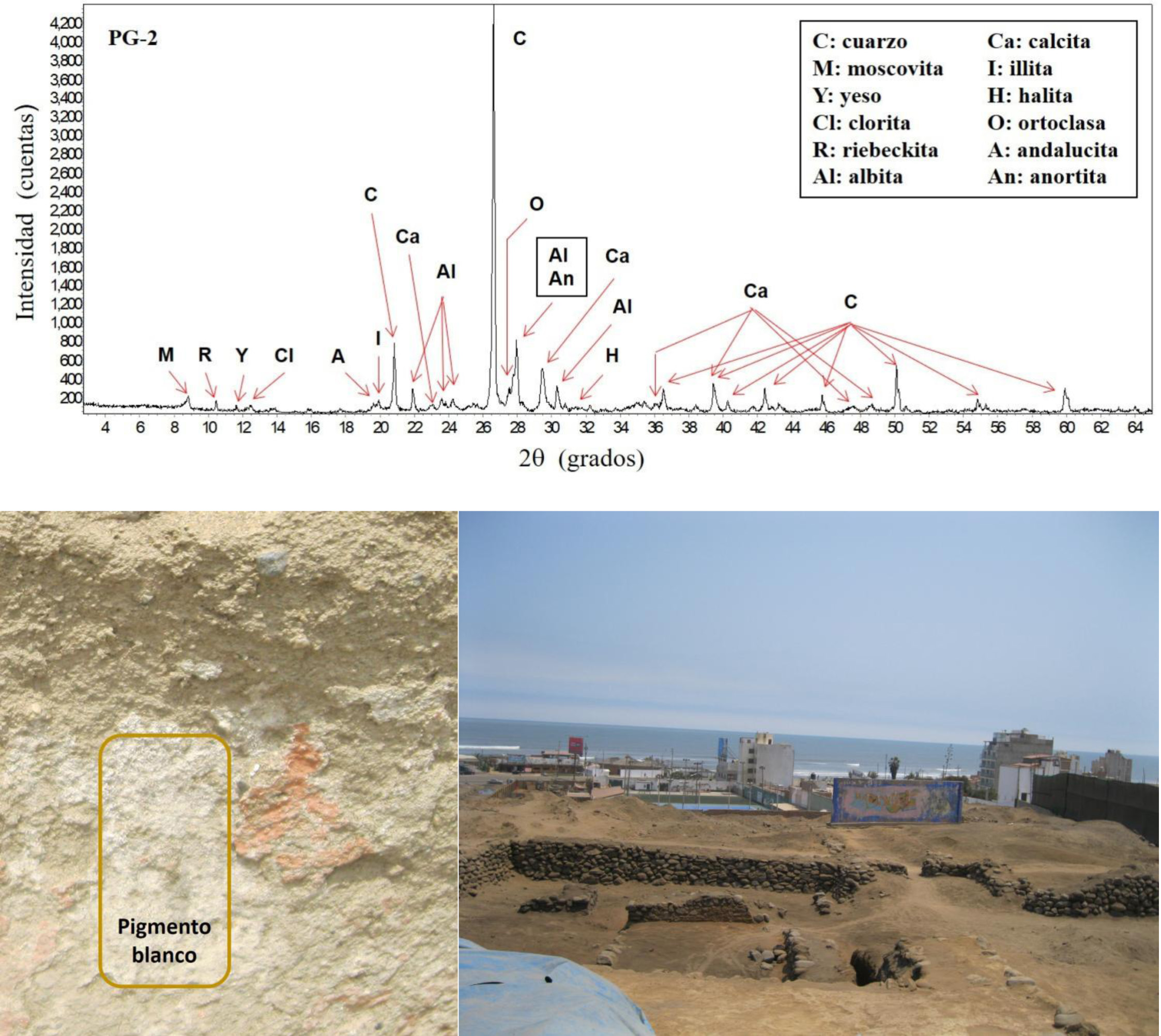 Tapa Revista Número 44